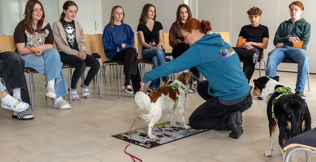 HLW Amstetten - Hundeworkshop